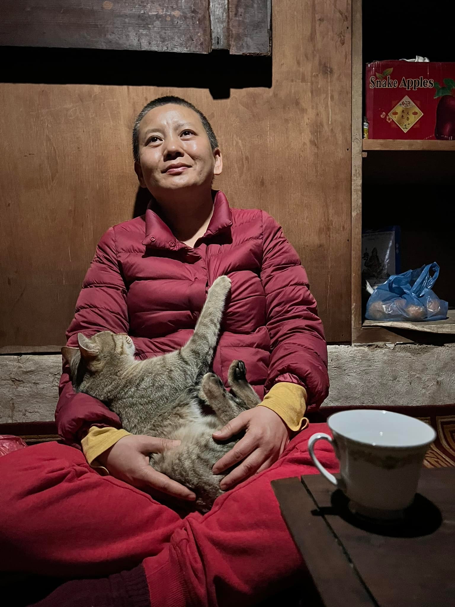 Ani---Kitten-1780811293.jpg