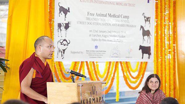 Free-animal-camp--karma-y-menaka-G-1780308768.jpg