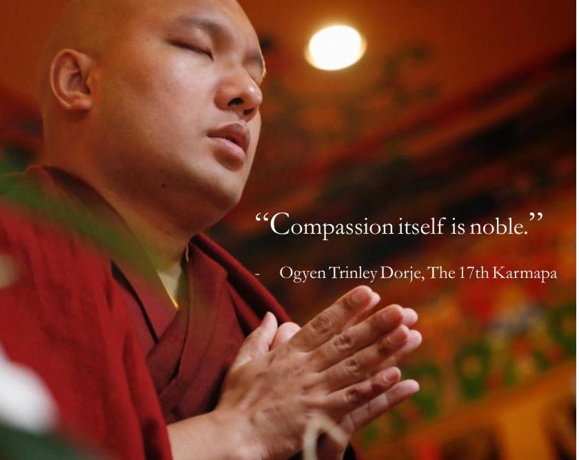 Karma-comapssion-1780308819.jpg