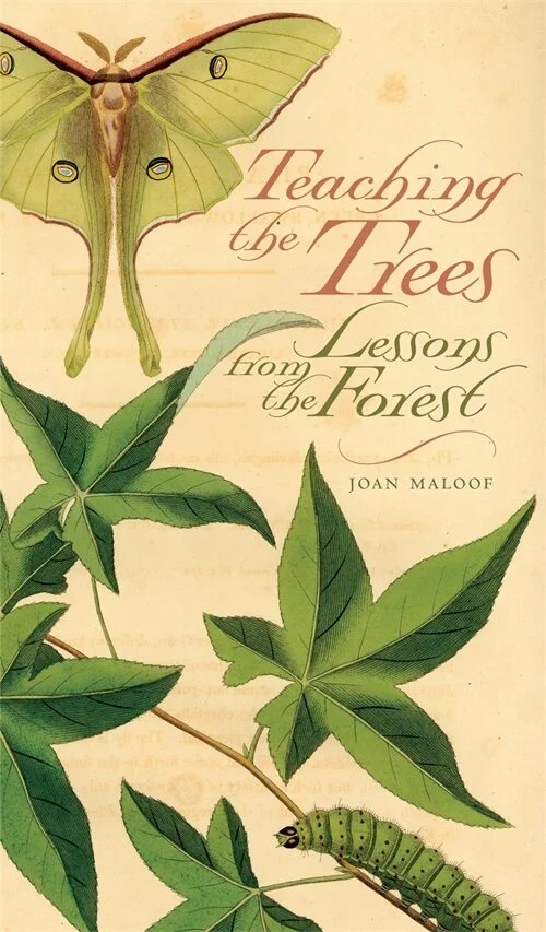 bookcover-TOT-1779189256.webp